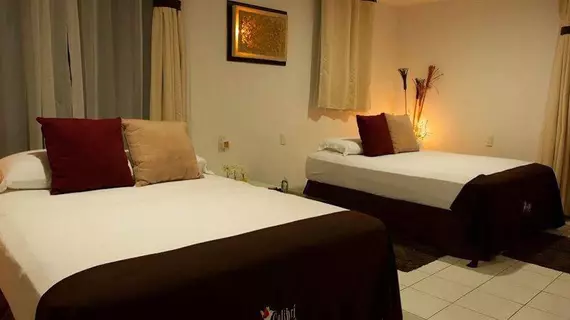 Colibri Hotel B&B | Morelos - Tepoztlan