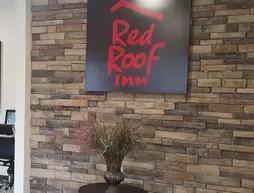 Red Roof Inn Arlington | Teksas - Dallas (ve civarı) - Arlington