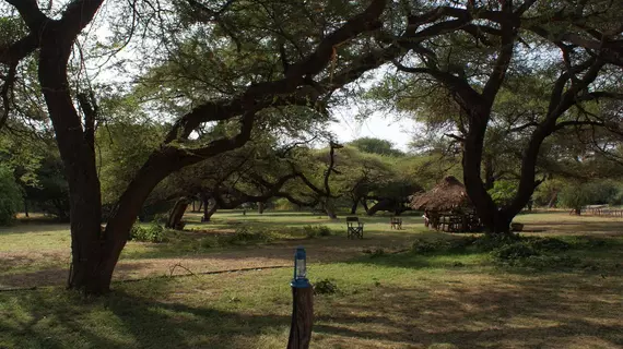 Lake Natron Tented Camp | Arusha Bölgesi - Natron Gölü