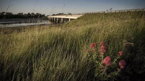 Shard Riverside | Lancashire (kontluk) - Poulton-le-Fylde - Hambleton