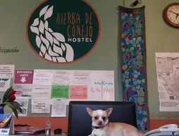 Hierba de Conejo Hostel | Oaxaca - Oaxaca - Centro