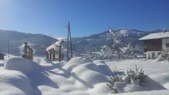 Landhaus Wildschwendt | Tirol - Kitzbühel District - Kufstein (ve civarı) - Ellmau