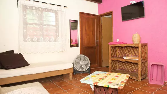 Casa Pitaya | Quintana Roo - Solidaridad - Playa del Carmen - Centro