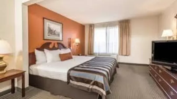 Wingate by Wyndham Airport - Rockville Rd | Indiana - Indianapolis (ve civarı) - Indianapolis