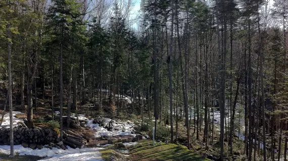 Le Bed and Breakfast du Lac Delage | Quebec - Quebec (ve civarı) - Lac Delage