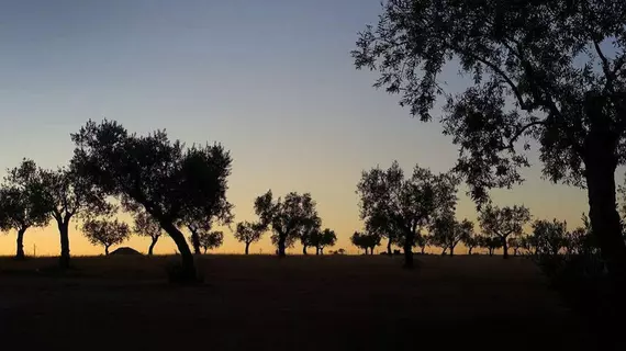 Herdade da Urgueira | Centro - Castelo Branco Bölgesi - Vila Velha de Rodao