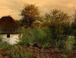 Mbizi Bush Lodge | Limpopo - Greater Giyani - Phalaborwa