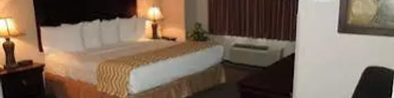 Cocca's Inn & Suites Wolf Road | New York - Albany (ve civarı) - Albany