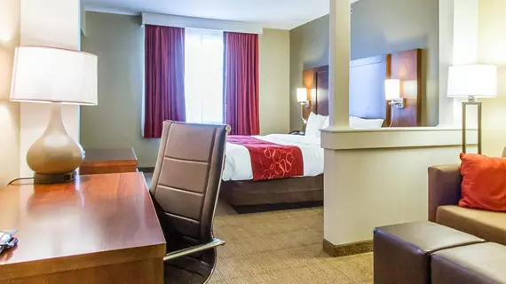 COMFORT SUITES ABILENE | Teksas - Abilene (ve civarı) - Abilene