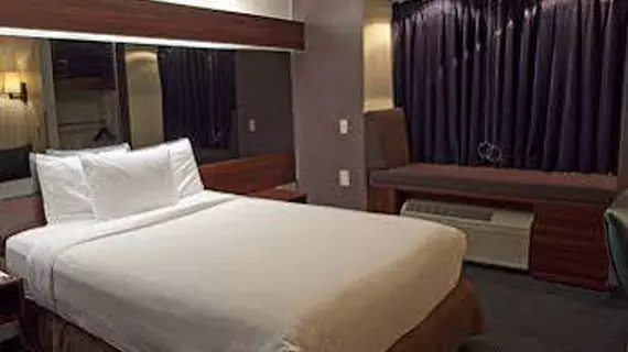 Microtel Inn & Suites by Wyndham Atlanta Airport | Georgia - Atlanta (ve civarı) - College Park