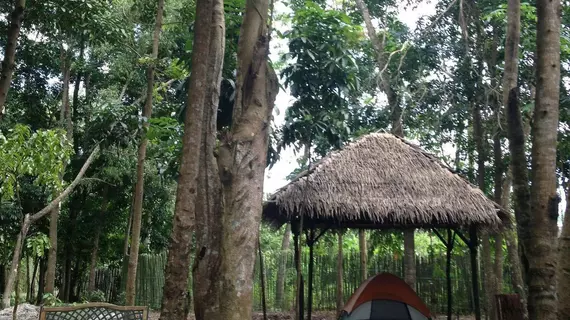 Tent and Breakfast at Irawan Ecopark | Mimaropa - Palawan - Puerto Princesa