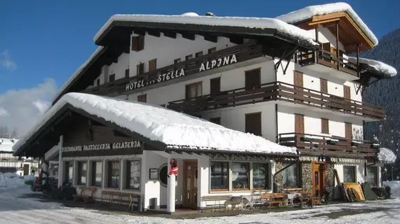 Hotel Stella Alpina | Veneto - Belluno (vilayet) - Falcade