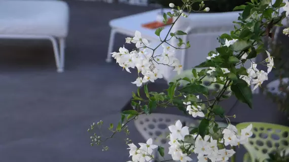 Patio De Violette | Occitanie - Gard - Uzes