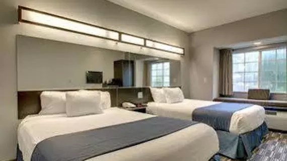 Microtel Inn & Suites by Wyndham Tuscaloosa | Alabama - Tuscaloosa (ve civarı) - Tuscaloosa