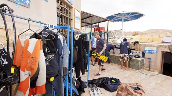 Arab Divers | Akabe İli - Aqaba