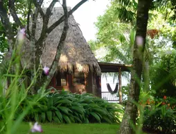 Bosque del Cabo Rain Forest Lodge | Puntarenas (ili) - Puerto Jimenez - Cabo Matapalo