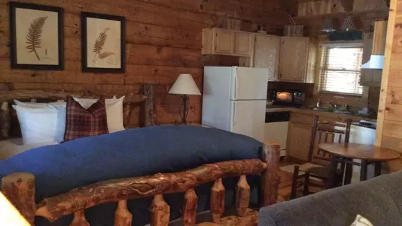 Dancing Bear Lodge | Tennessee - Gatlinburg - Pigeon Forge (ve civarı) - Townsend