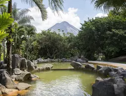 Arenal Paraiso Resort & Spa | Alajuela (ili) - San Carlos (kantonu) - La Fortuna - Palma