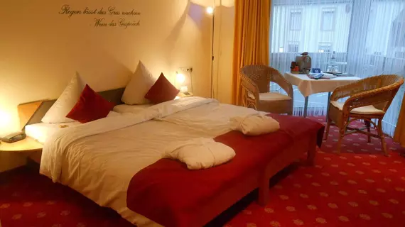 Mühlenthalers Park Hotel | Rhineland-Palatinate - Konz