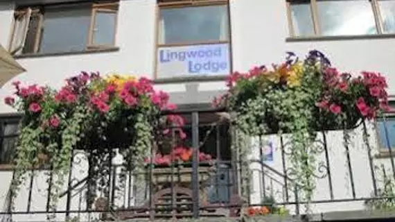 Lingwood Lodge | Cumbria (kontluk) - Windermere