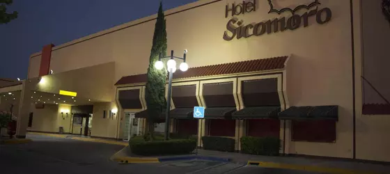 Hotel Sicomoro | Chihuahua - Chihuahua