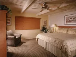 Desert Isle Resort | Kaliforniya - Imperial County - Palm Springs (ve civarı) - Palm Springs