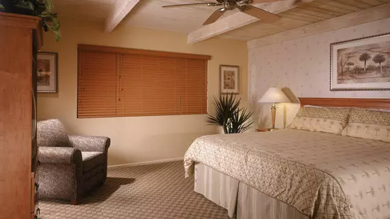 Desert Isle Resort | Kaliforniya - Imperial County - Palm Springs (ve civarı) - Palm Springs