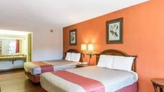 Motel 6 Savannah Airport - Pooler | Georgia - Savannah (ve civarı) - Pooler