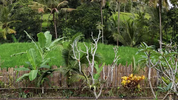 Tini Villa | Bali - Ubud