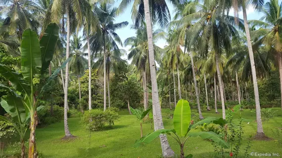 Mangrove Resort | Mimaropa - Palawan - Puerto Princesa