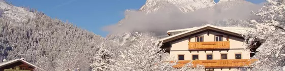 Zenauerhof | Salzburg (eyalet) - Zell am See - Sankt Martin bei Lofer