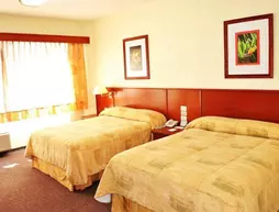 Hotel Marcella Clase Ejecutiva | Michoacan - Morelia (ve civarı) - Morelia - Tarihi Kent Merkezi