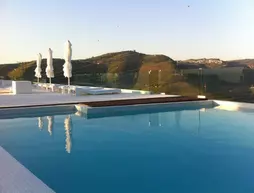 Quinta De Casaldronho Wine Hotel | Centro - Viseu Bölgesi - Lamego