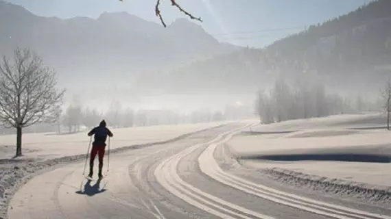 Hotel Moawirt | Salzburg (eyalet) - Sankt Johann im Pongau - Wagrain