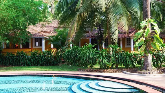 Granpa's Inn - Bougainvillea | Goa - Kuzey Goa - Anjuna