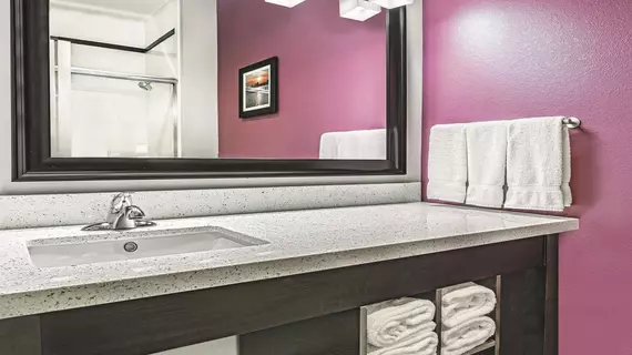 La Quinta Inn and Suites Dallas Grand Prairie North | Teksas - Dallas (ve civarı) - Grand Prairie