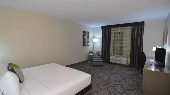 BEST WESTERN Plus Houston I45 North Inn and Suites | Teksas - Houston (ve civarı) - Houston