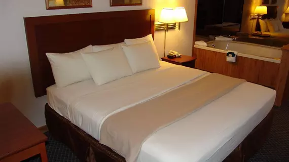 Lynina Inn | Missouri - Branson (ve civarı) - Branson - Branson Theater District