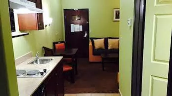 Comfort Inn and Suites Melvindale | Michigan - Detroit (ve civarı) - Melvindale