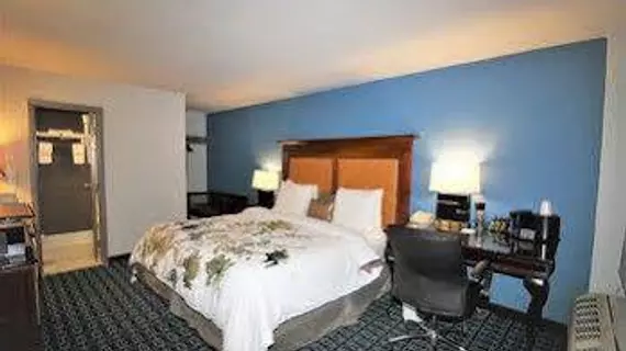 Americas Best Value Inn - Downtown / Midtown | Georgia - Atlanta (ve civarı) - Atlanta - Midtown