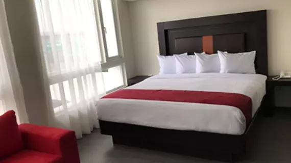 Best Western Plus Metepec and Suites | Mexico, Estado de - Toluca (ve civarı) - Toluca - Metepec