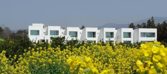 Laotzu Resort Pension | Jeju Adası - Seogwipo - Seogwipo Şehri