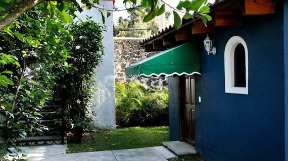 L Orangerie | Morelos - Cuernavaca