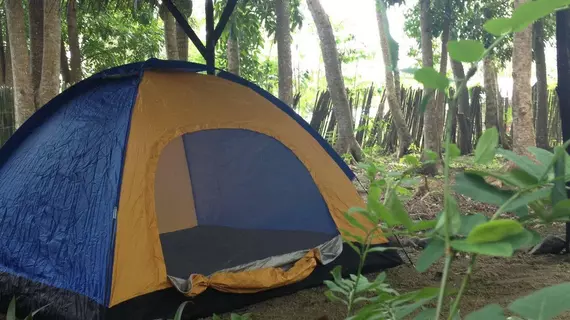 Tent and Breakfast at Irawan Ecopark | Mimaropa - Palawan - Puerto Princesa