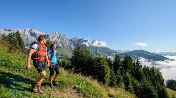 Hotel Alpina | Salzburg (eyalet) - Sankt Johann im Pongau - Bad Hofgastein