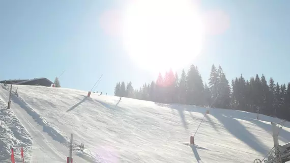 Chalet Hôtel Aiguille Blanche | Auvergne-Rhone-Alpes - Haute-Savoie (bölge) - Les Gets