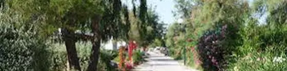 Azur Soleil - Les Pins Maritimes - Campground | Provence - Alpes - Cote d'Azur - Var - Toulon - Hyeres (ve civarı) - Hyeres