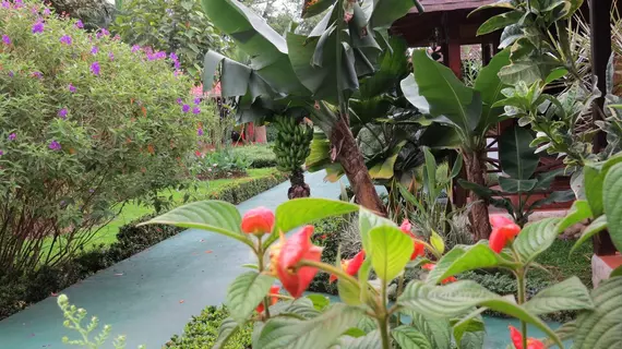 Arenal Montechiari Hotel | Alajuela (ili) - San Carlos (kantonu) - La Fortuna