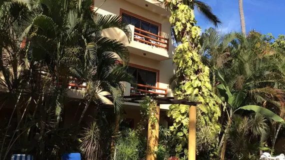 Hotel Palmeras | Nayarit - Bahía de Banderas - Puerto Vallarta (ve civarı) - Bucerias