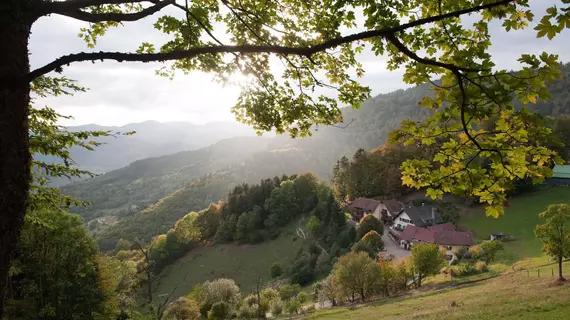 Auberge Du Mehrbachel | Grand Est - Haut-Rhin (bölge) - Saint-Amarin